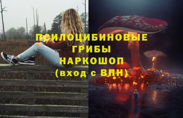 Альфа ПВП Алексин