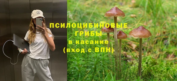 Альфа ПВП Алексин